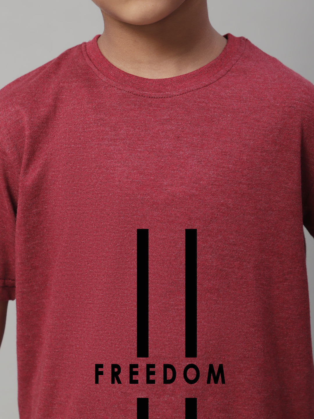 Boys Freedom Regular Fit Printed T-Shirt - Friskers