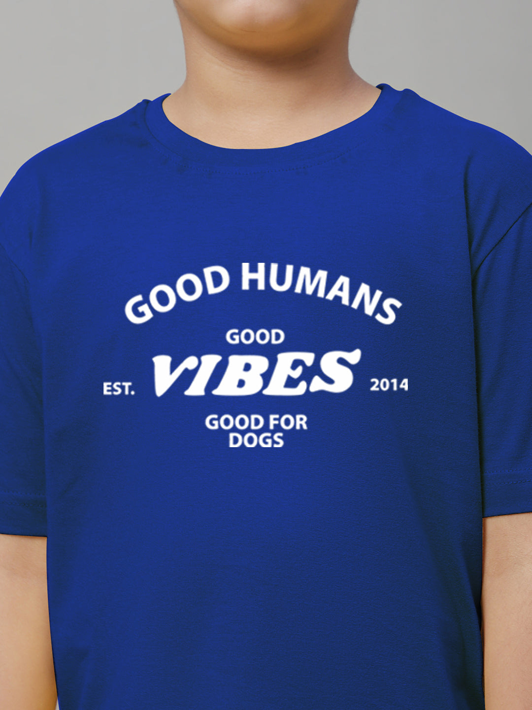 Boys Good Vibes Regular Fit Printed T-Shirt - Friskers