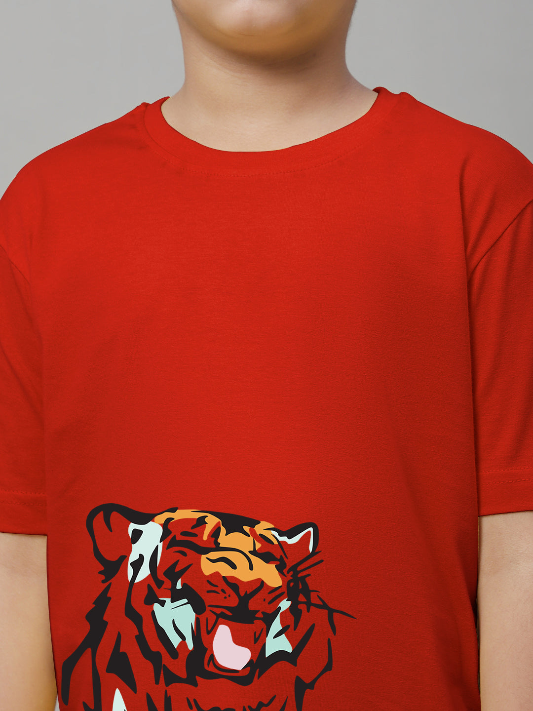 Boys Tiger Regular Fit Printed T-Shirt - Friskers