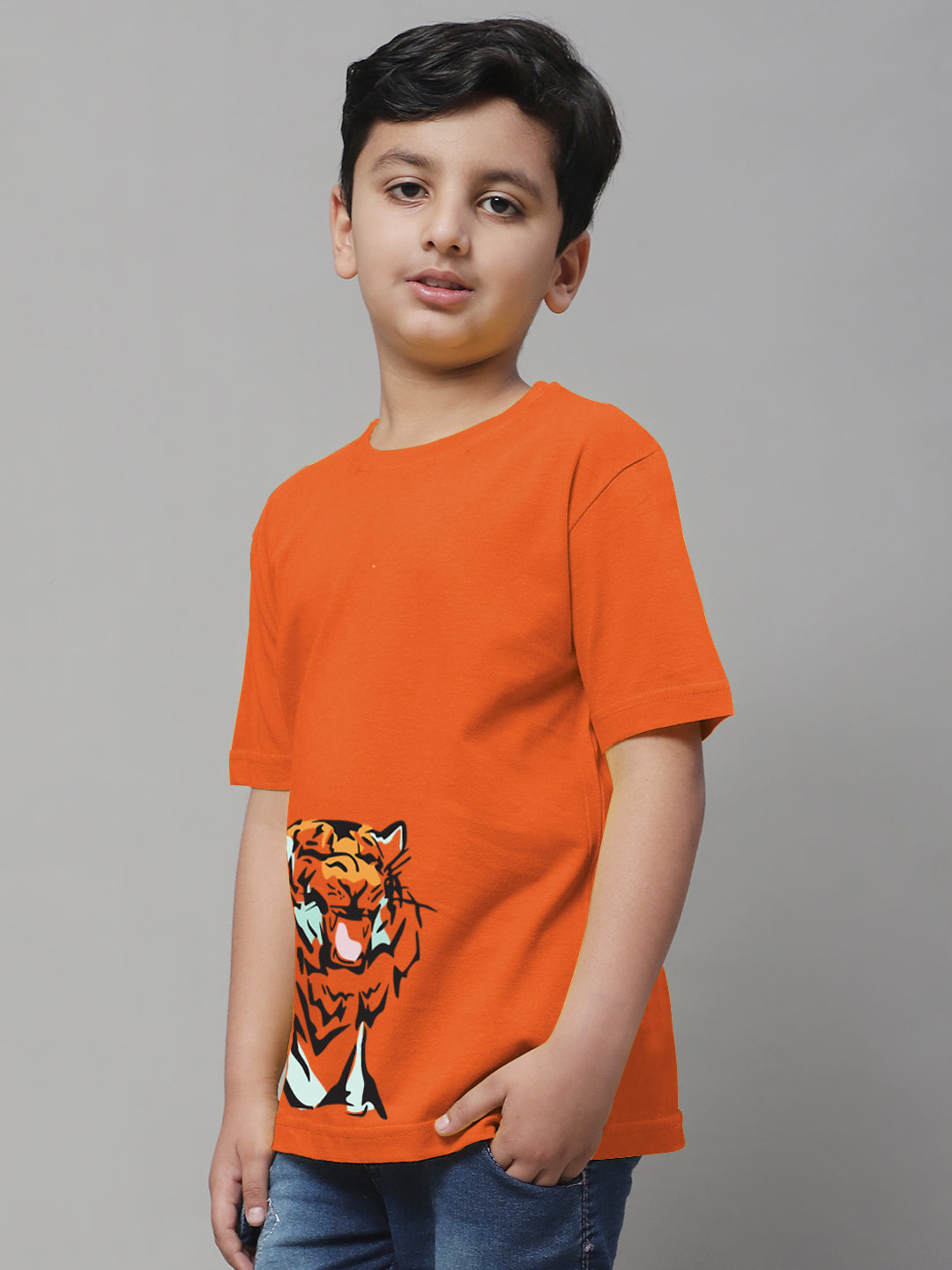 Boys Tiger Regular Fit Printed T-Shirt - Friskers
