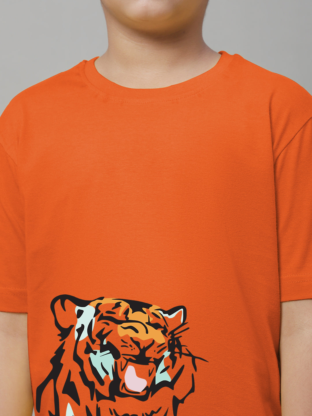 Boys Tiger Regular Fit Printed T-Shirt - Friskers