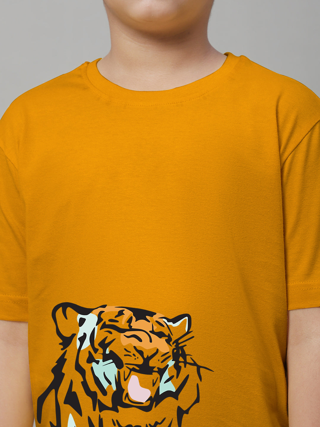 Boys Tiger Regular Fit Printed T-Shirt - Friskers