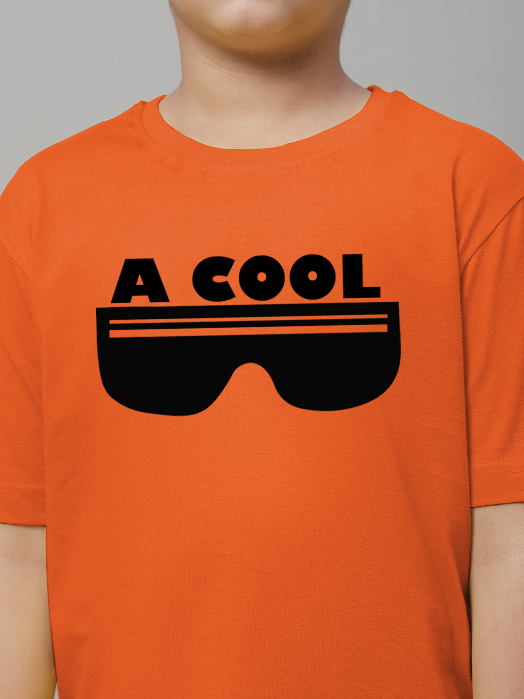 Boys Cool Regular Fit Printed T-Shirt - Friskers