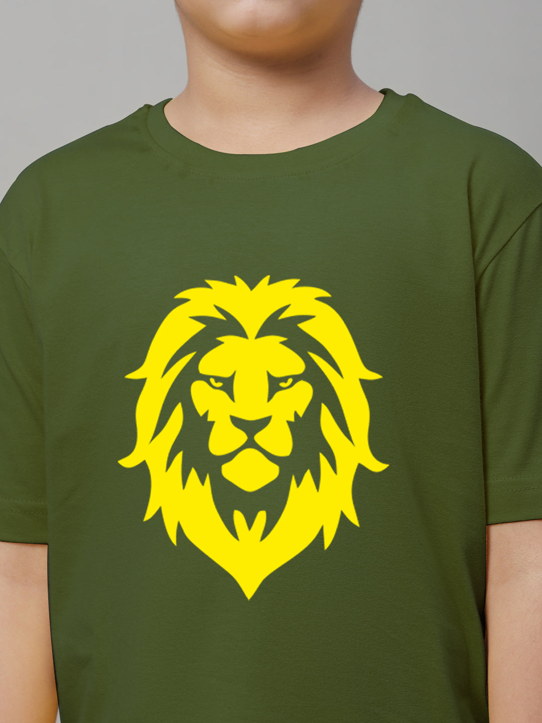 Boys Lion Regular Fit Printed T-Shirt - Friskers