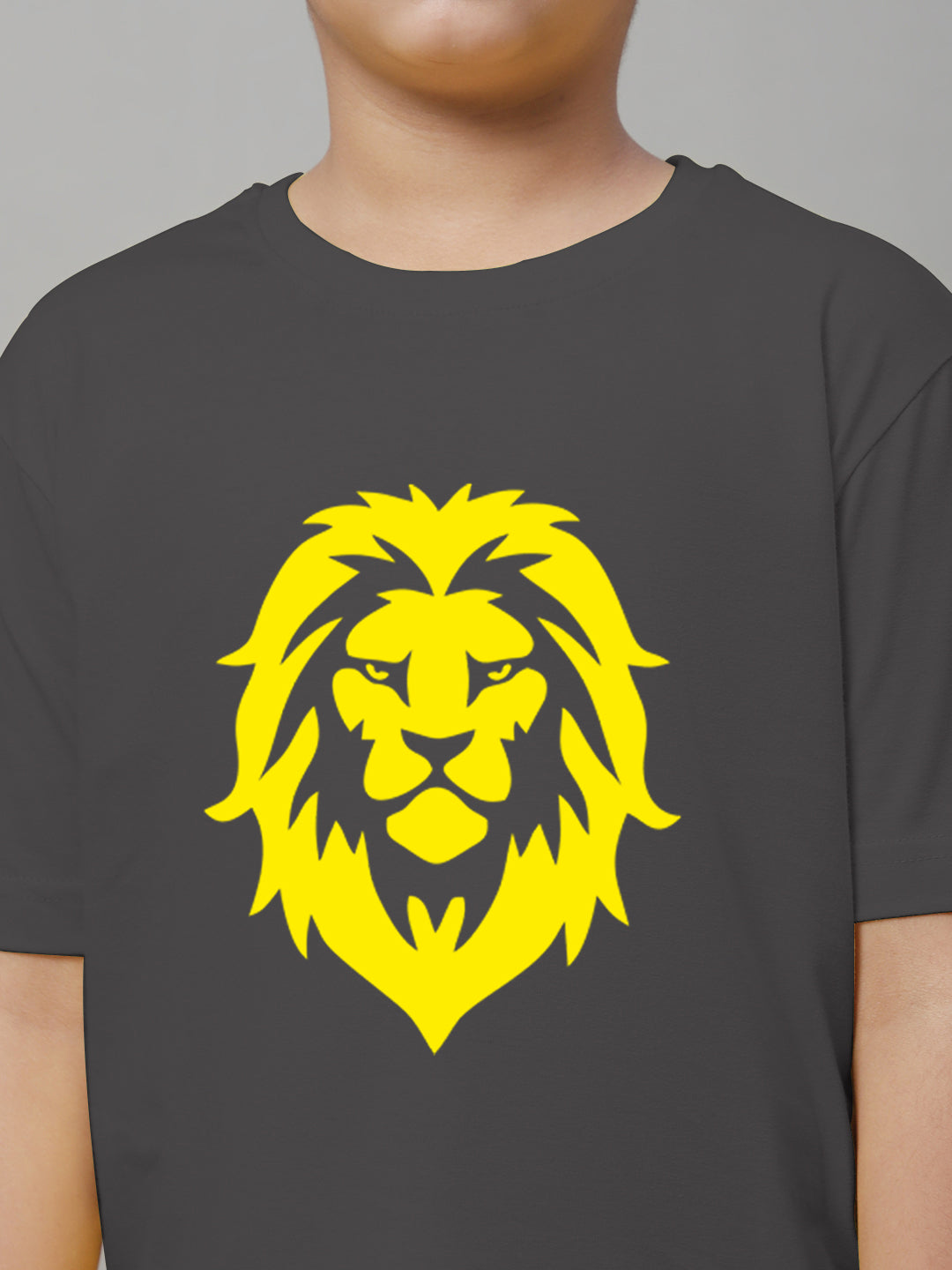 Boys Lion Regular Fit Printed T-Shirt - Friskers