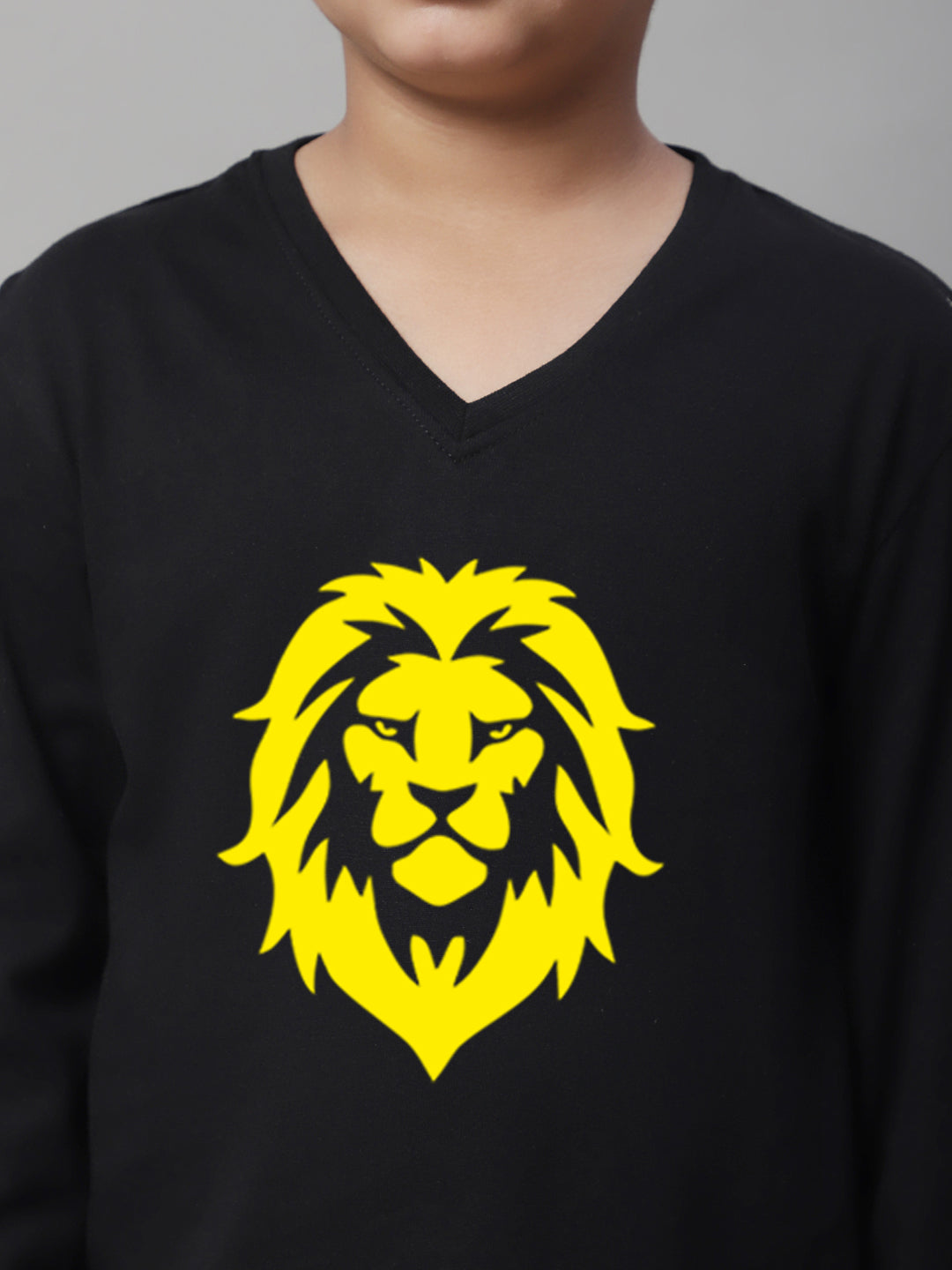 Boys Lion Full Sleeves Printed T-Shirt - Friskers