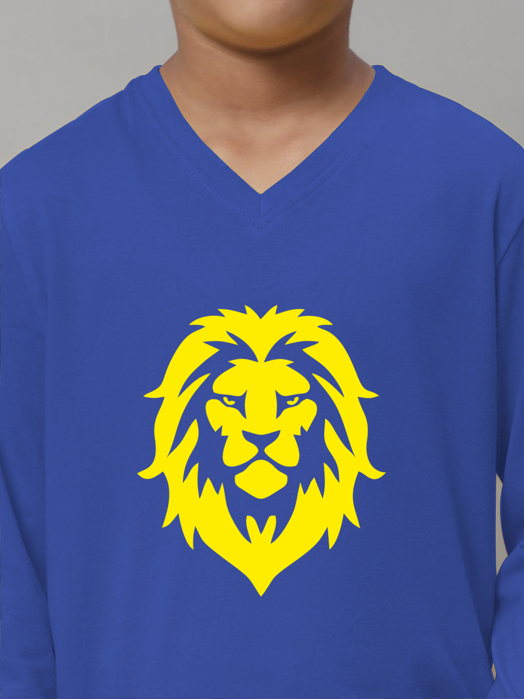 Boys Lion Full Sleeves Printed T-Shirt - Friskers