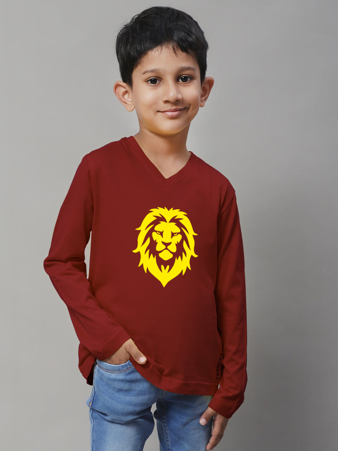 Boys Lion Full Sleeves Printed T-Shirt - Friskers