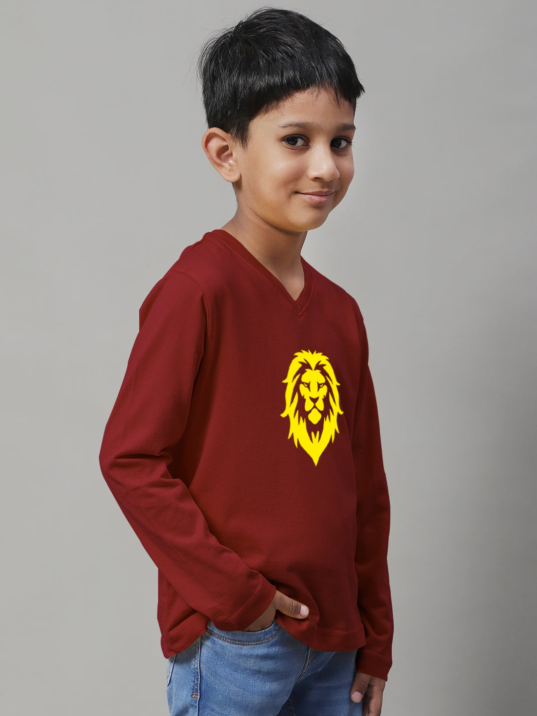 Boys Lion Full Sleeves Printed T-Shirt - Friskers