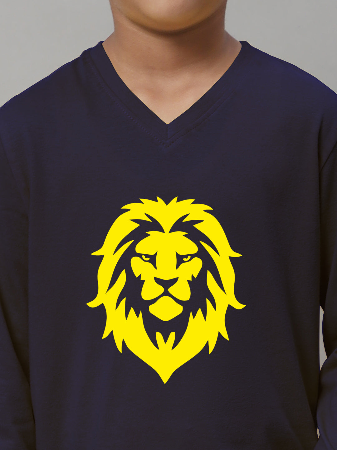 Boys Lion Full Sleeves Printed T-Shirt - Friskers