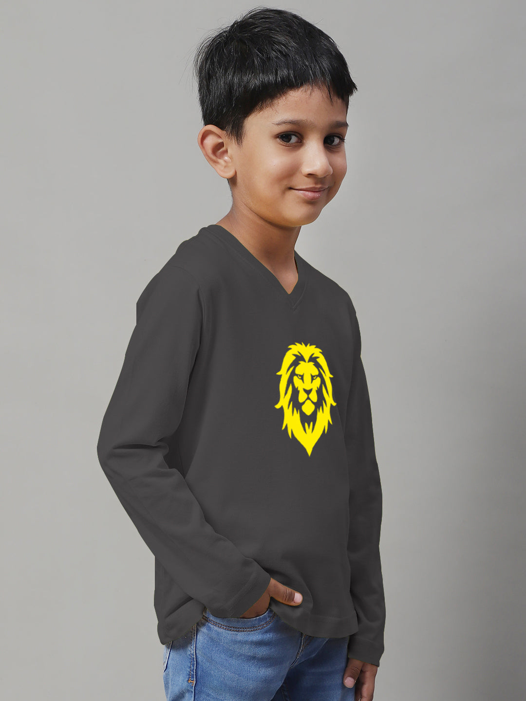 Boys Lion Full Sleeves Printed T-Shirt - Friskers