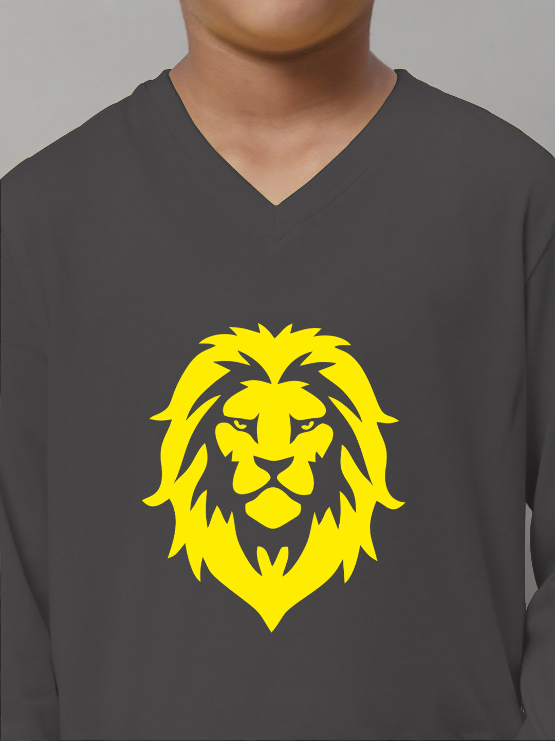 Boys Lion Full Sleeves Printed T-Shirt - Friskers