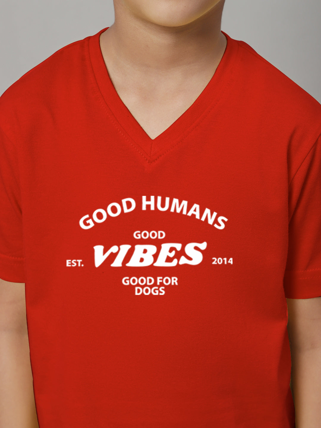 Boys Good Vibes Half Sleeves Printed T-Shirt - Friskers
