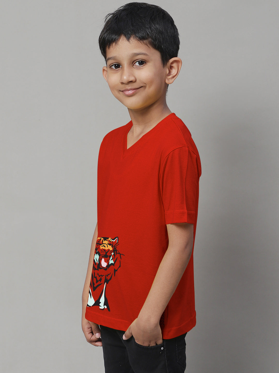 Boys Tiger Half Sleeves Printed T-Shirt - Friskers
