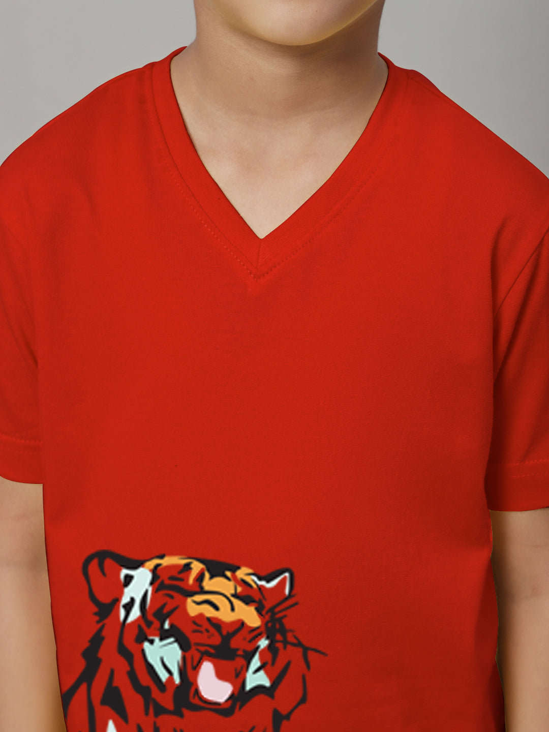 Boys Tiger Half Sleeves Printed T-Shirt - Friskers