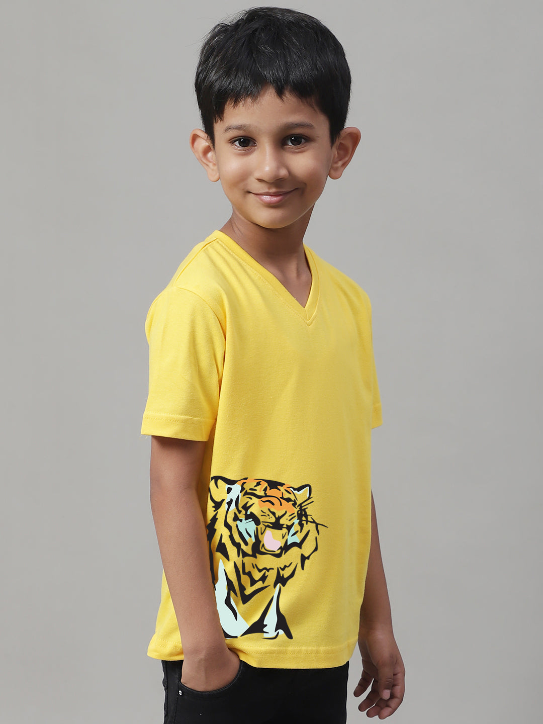 Boys Tiger Half Sleeves Printed T-Shirt - Friskers