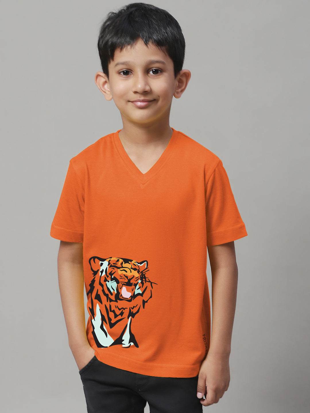 Boys Tiger Half Sleeves Printed T-Shirt - Friskers