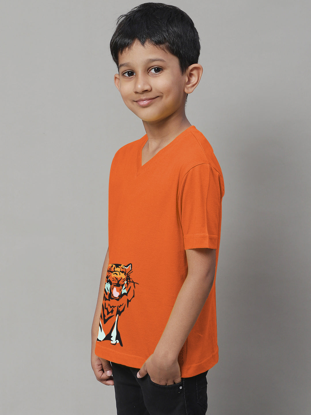 Boys Tiger Half Sleeves Printed T-Shirt - Friskers