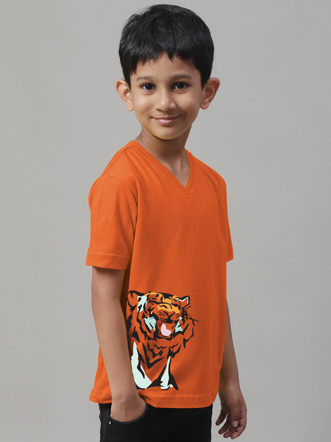 Boys Tiger Half Sleeves Printed T-Shirt - Friskers