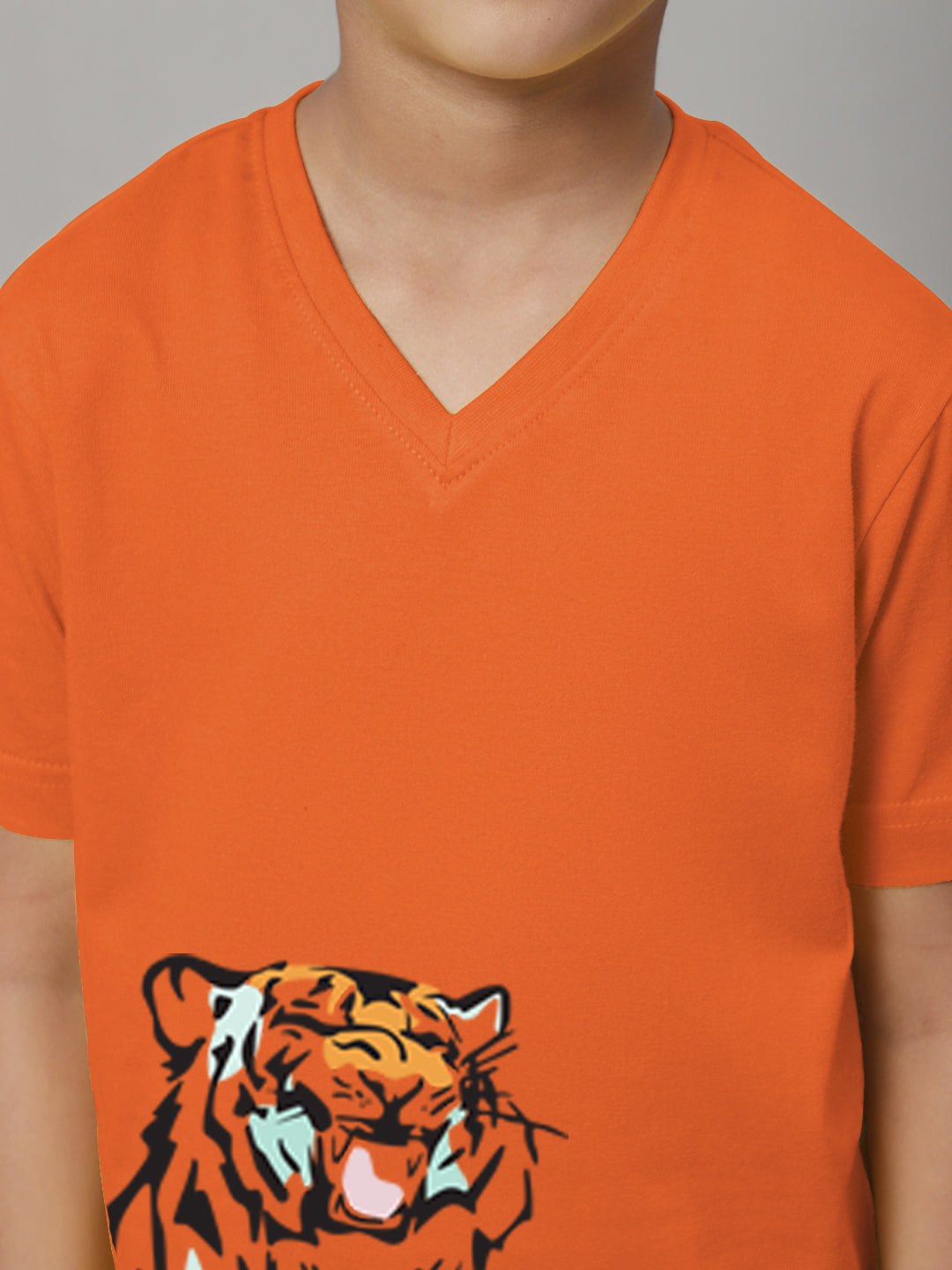 Boys Tiger Half Sleeves Printed T-Shirt - Friskers