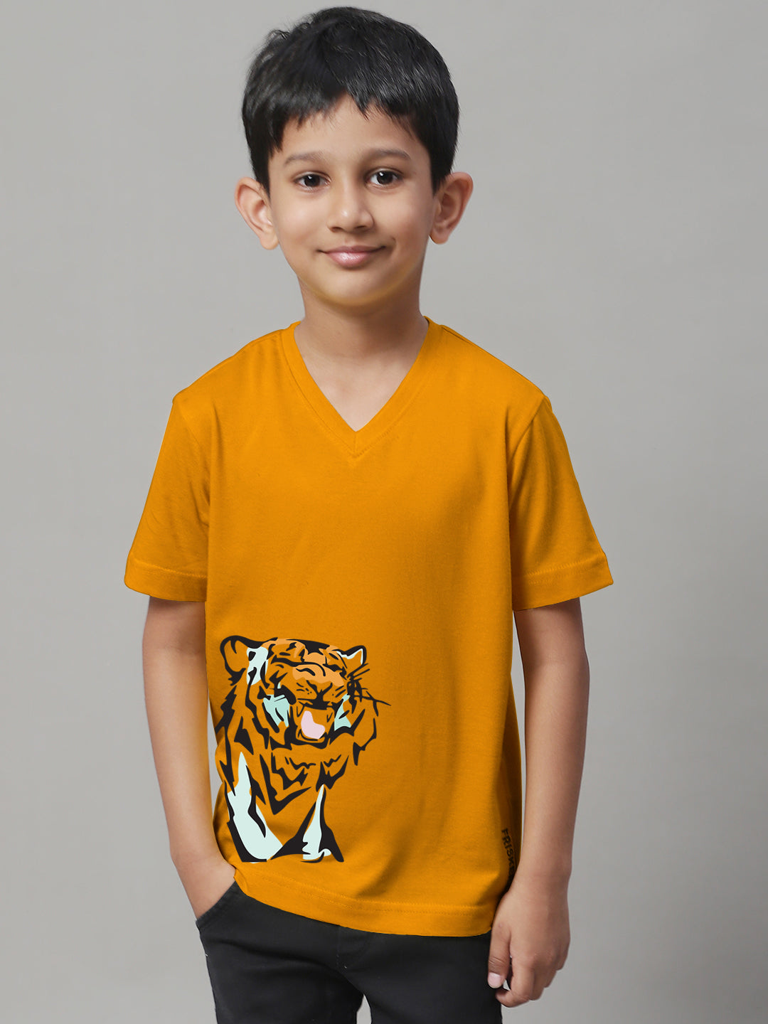 Boys Tiger Half Sleeves Printed T-Shirt - Friskers