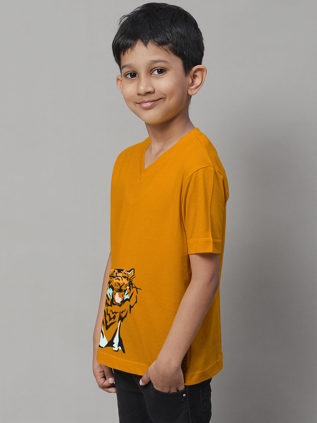 Boys Tiger Half Sleeves Printed T-Shirt - Friskers