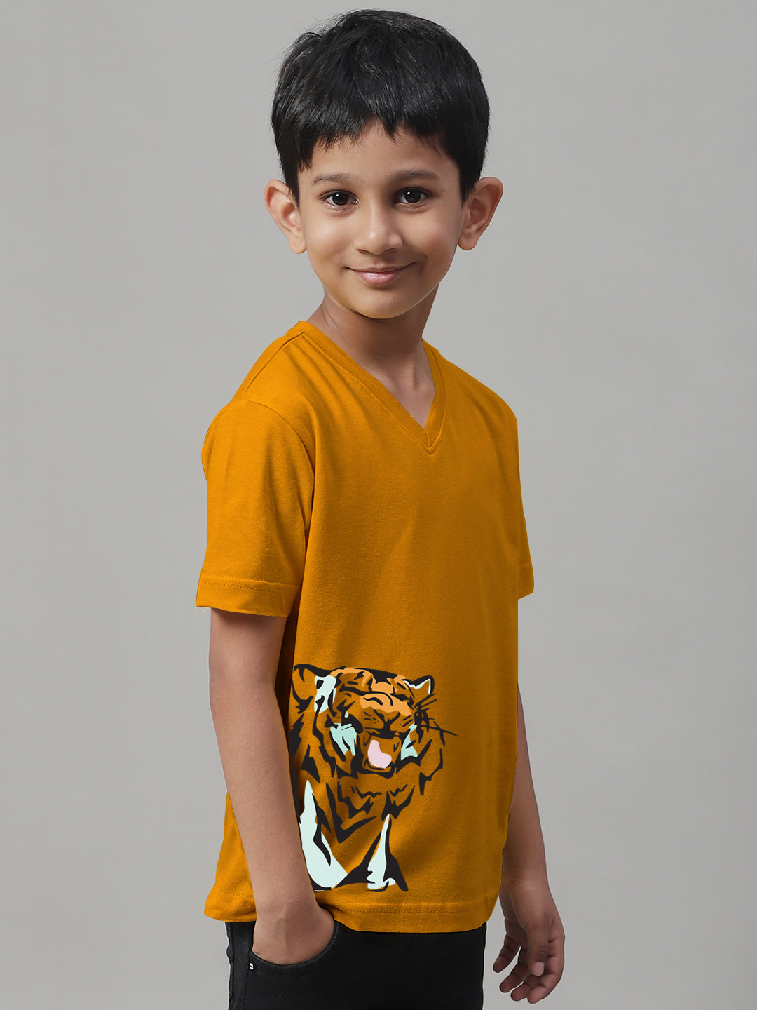 Boys Tiger Half Sleeves Printed T-Shirt - Friskers
