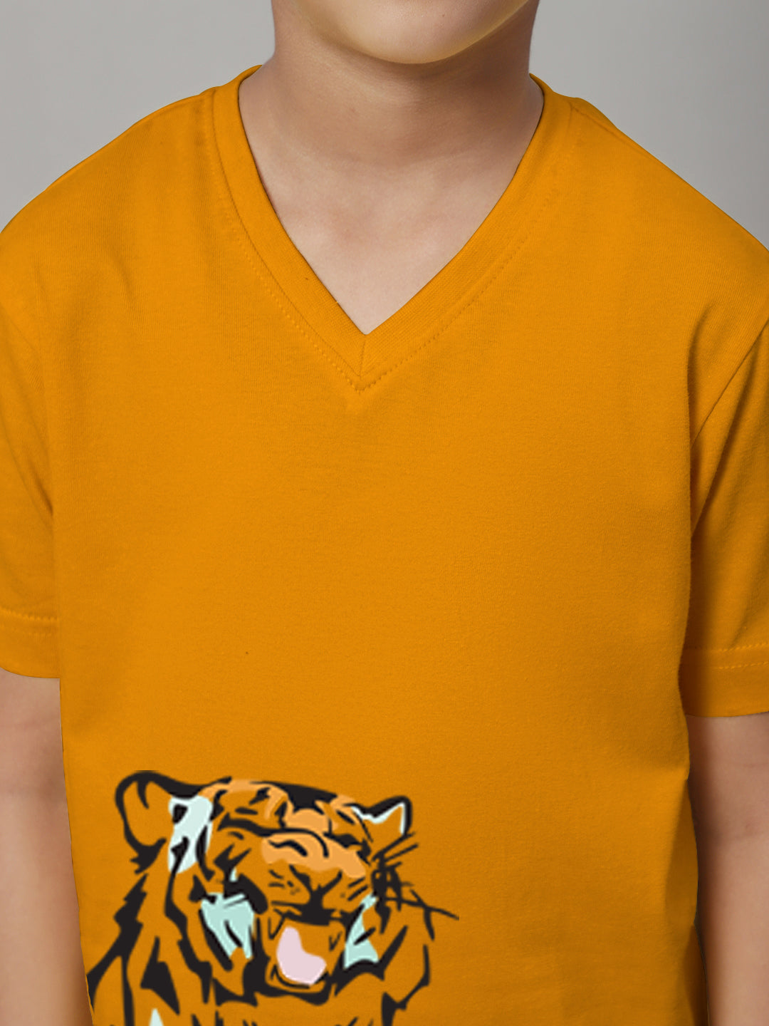 Boys Tiger Half Sleeves Printed T-Shirt - Friskers