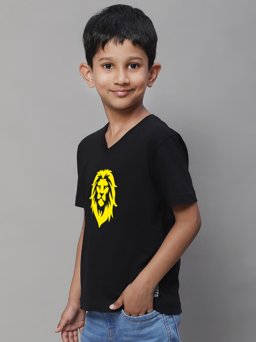 Boys Lion Half Sleeves Printed T-Shirt - Friskers