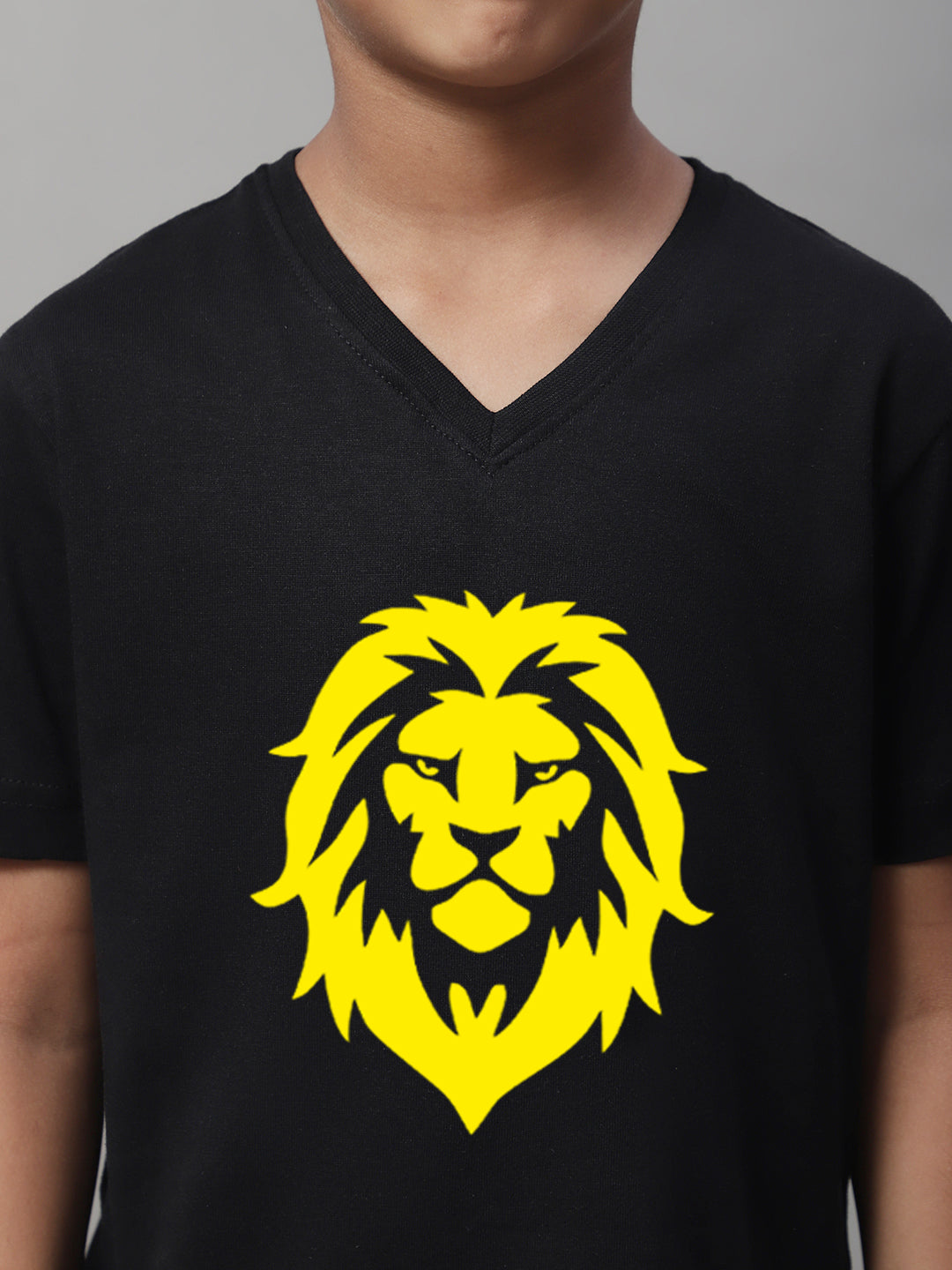 Boys Lion Half Sleeves Printed T-Shirt - Friskers