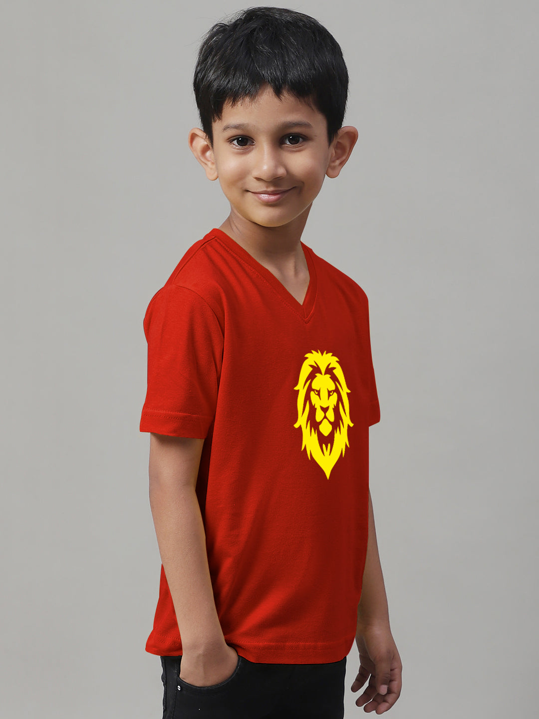 Boys Lion Half Sleeves Printed T-Shirt - Friskers