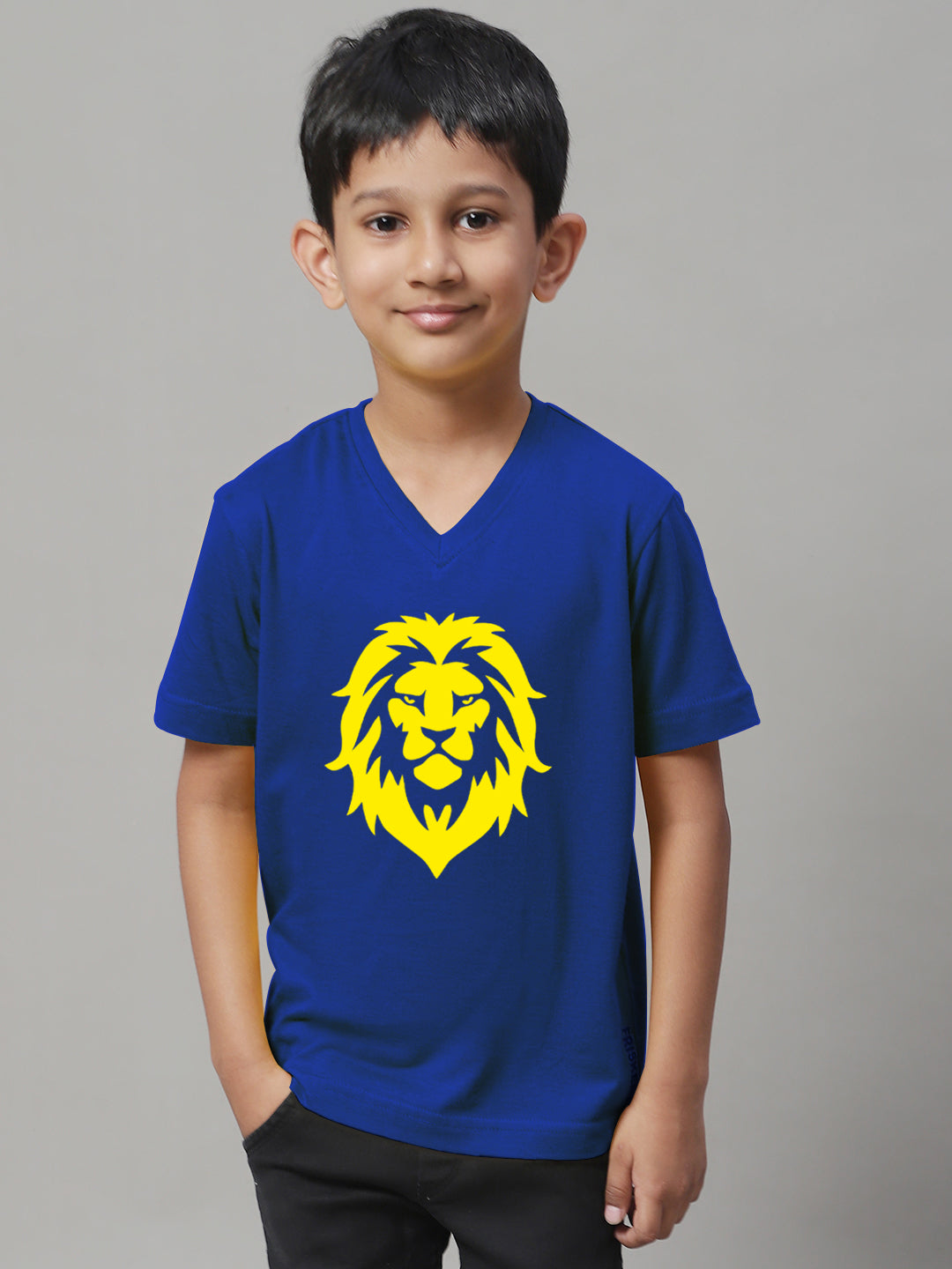 Boys Lion Half Sleeves Printed T-Shirt - Friskers