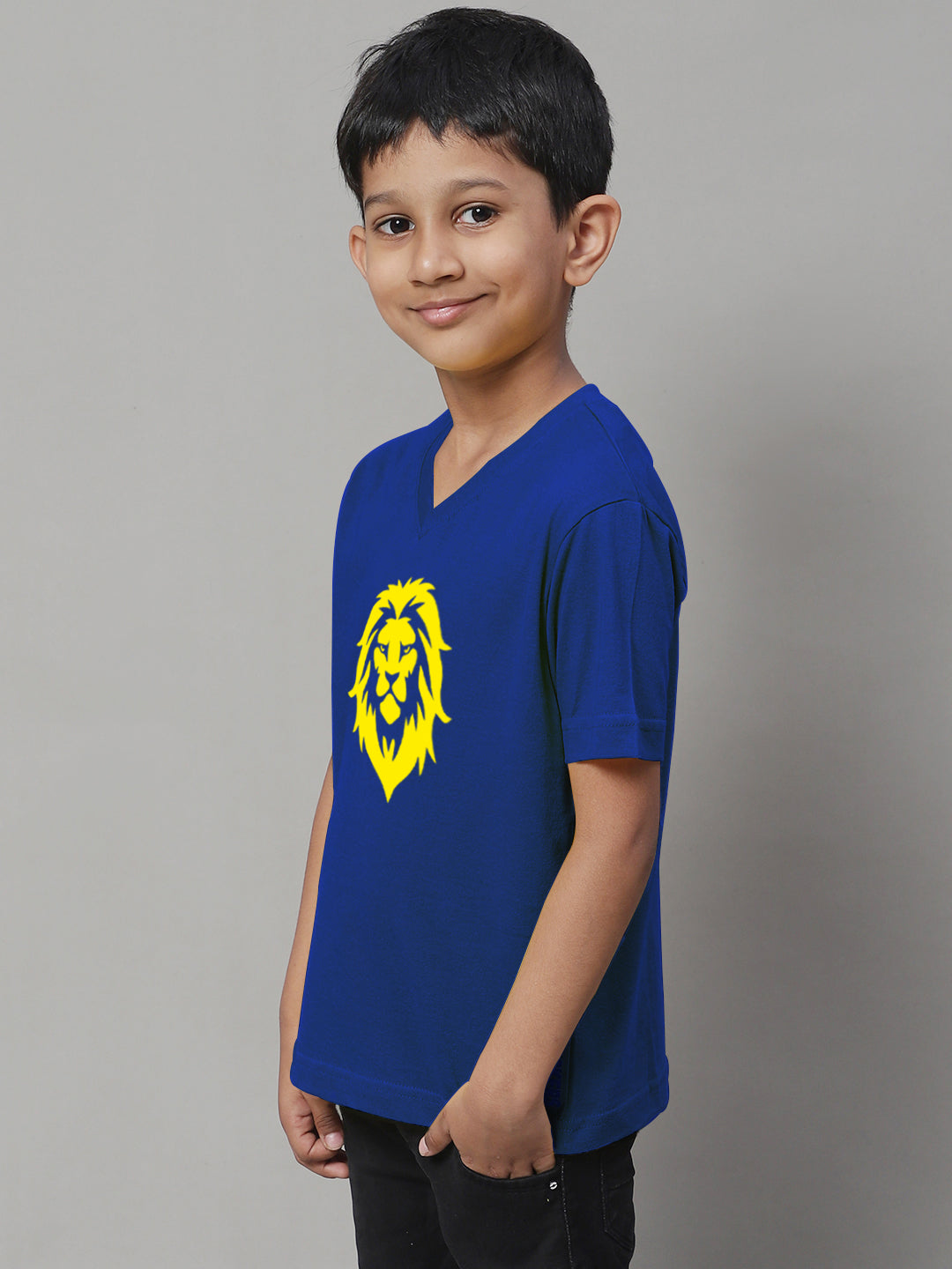 Boys Lion Half Sleeves Printed T-Shirt - Friskers