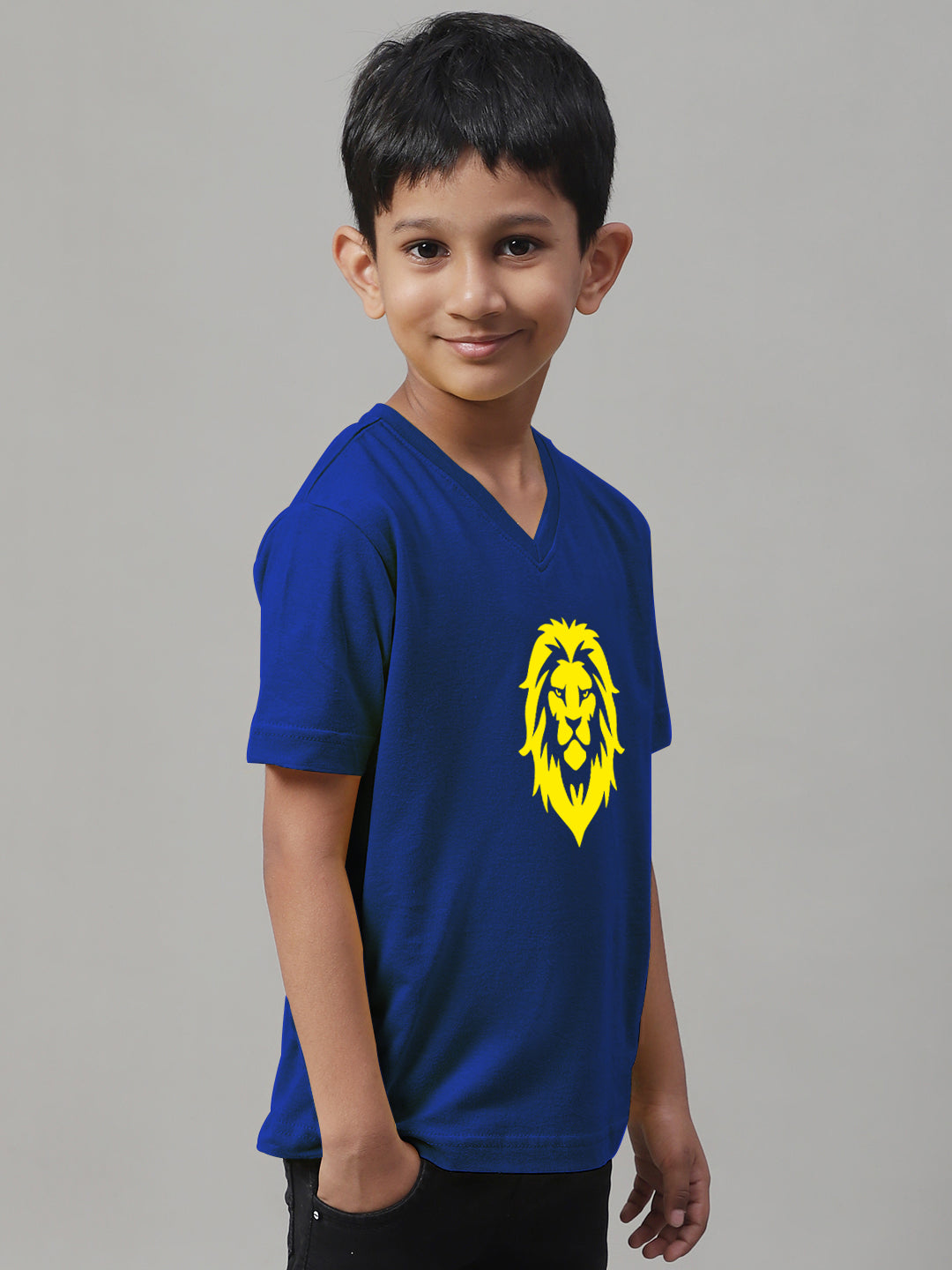 Boys Lion Half Sleeves Printed T-Shirt - Friskers