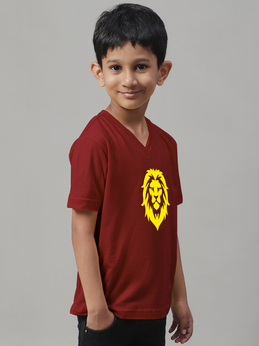 Boys Lion Half Sleeves Printed T-Shirt - Friskers