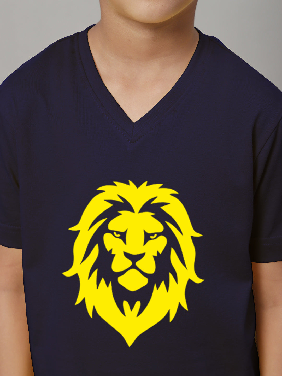 Boys Lion Half Sleeves Printed T-Shirt - Friskers