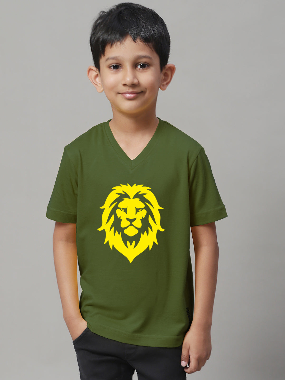 Boys Lion Half Sleeves Printed T-Shirt - Friskers