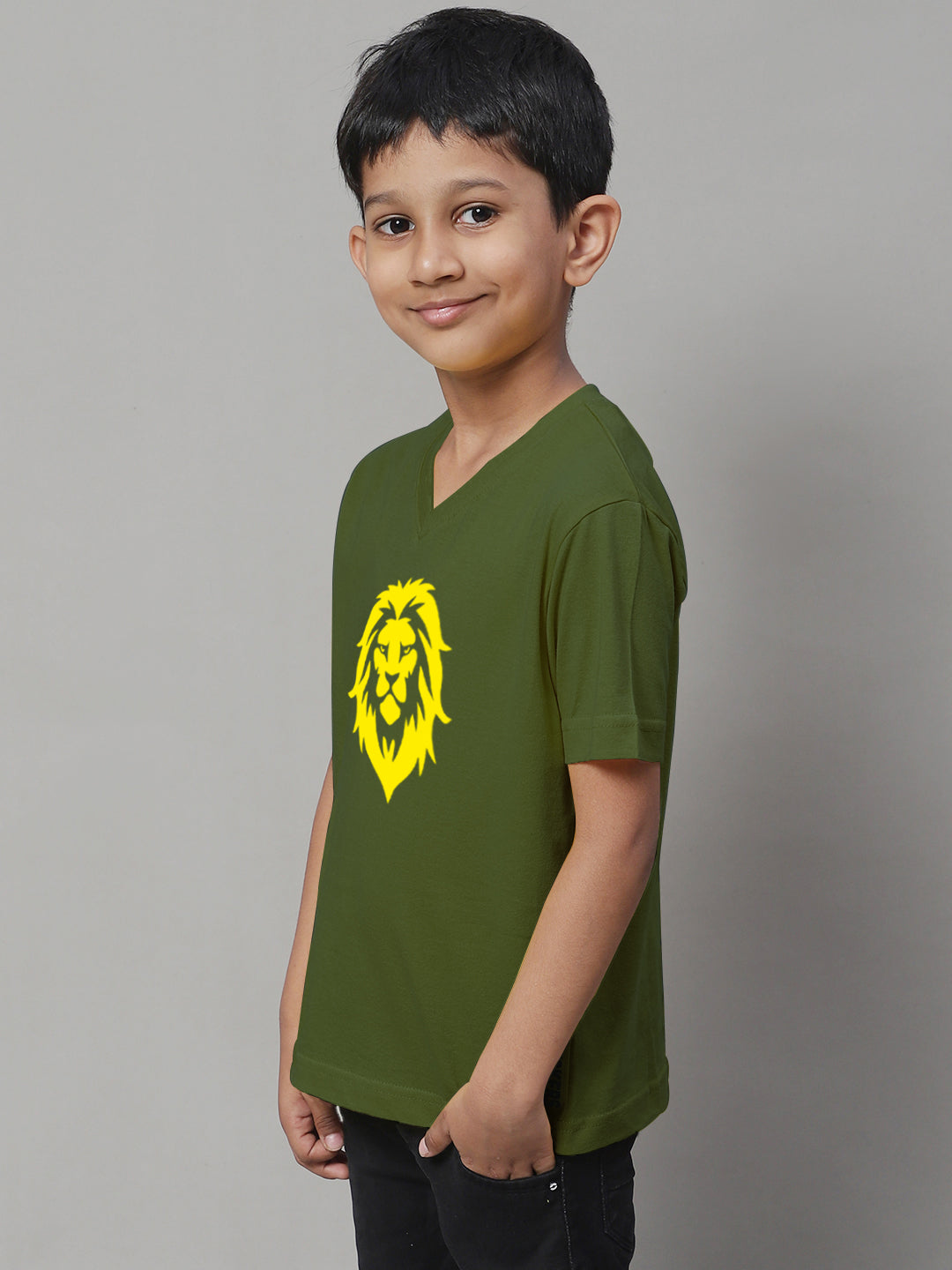 Boys Lion Half Sleeves Printed T-Shirt - Friskers