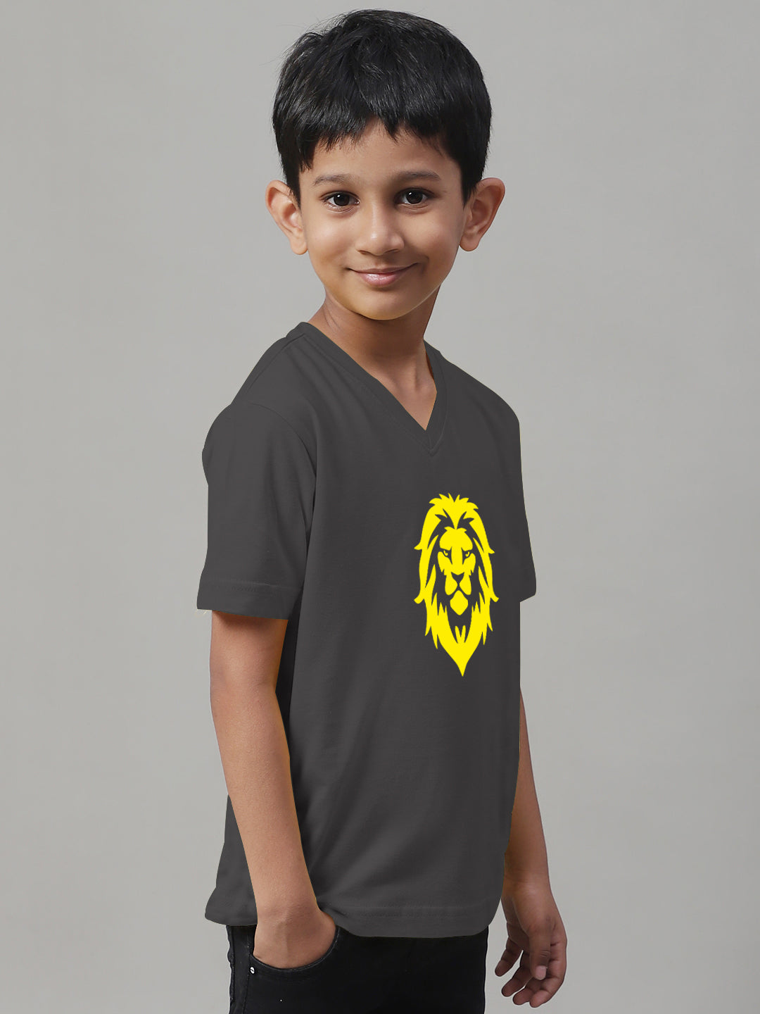 Boys Lion Half Sleeves Printed T-Shirt - Friskers