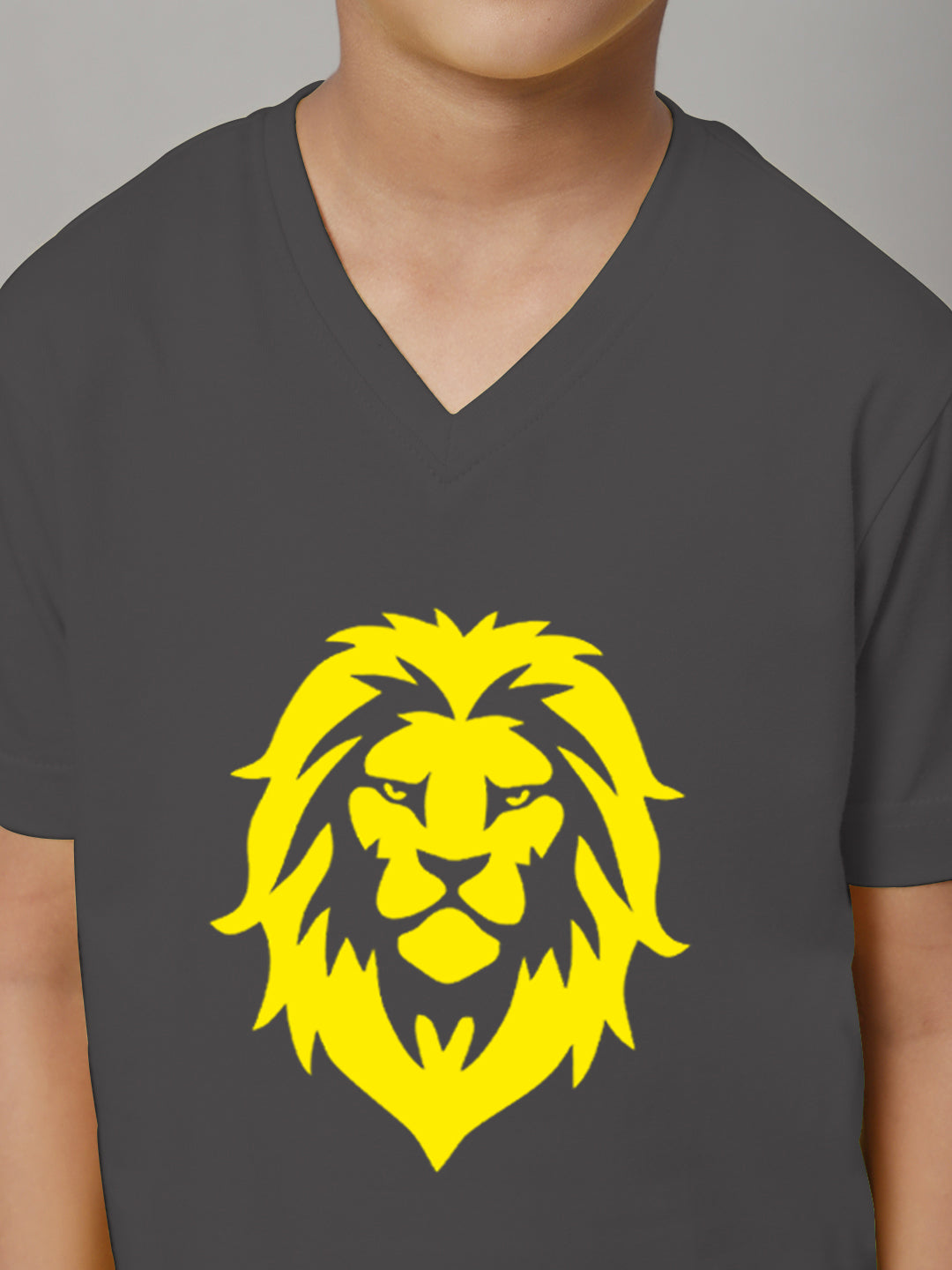 Boys Lion Half Sleeves Printed T-Shirt - Friskers