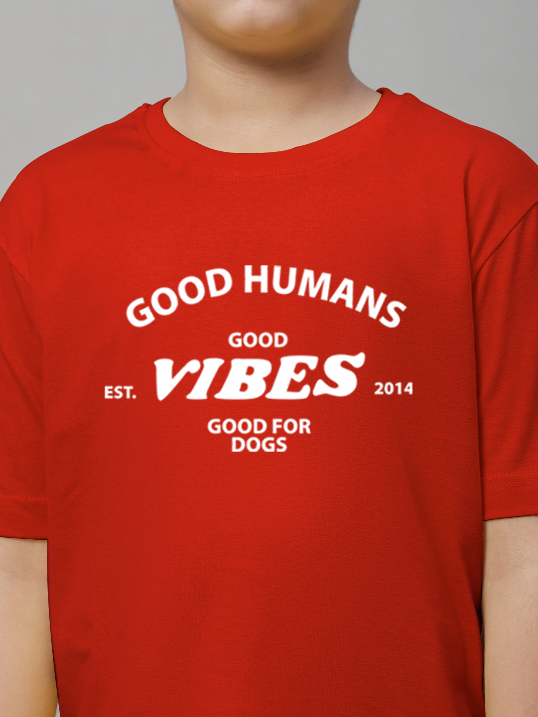 Boys Good Vibes Regular Fit Printed T-Shirt - Friskers