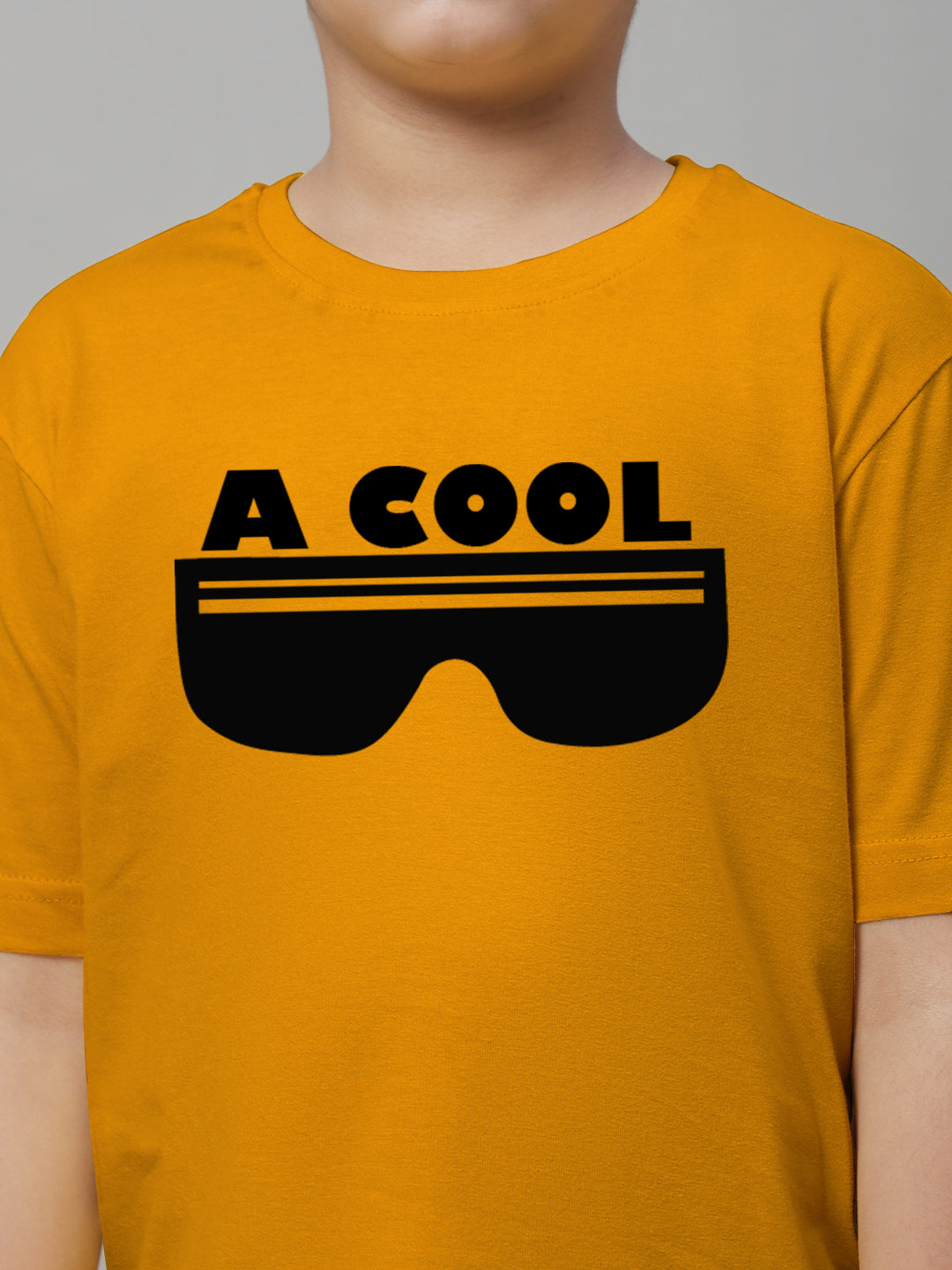 Boys Cool Regular Fit Printed T-Shirt - Friskers