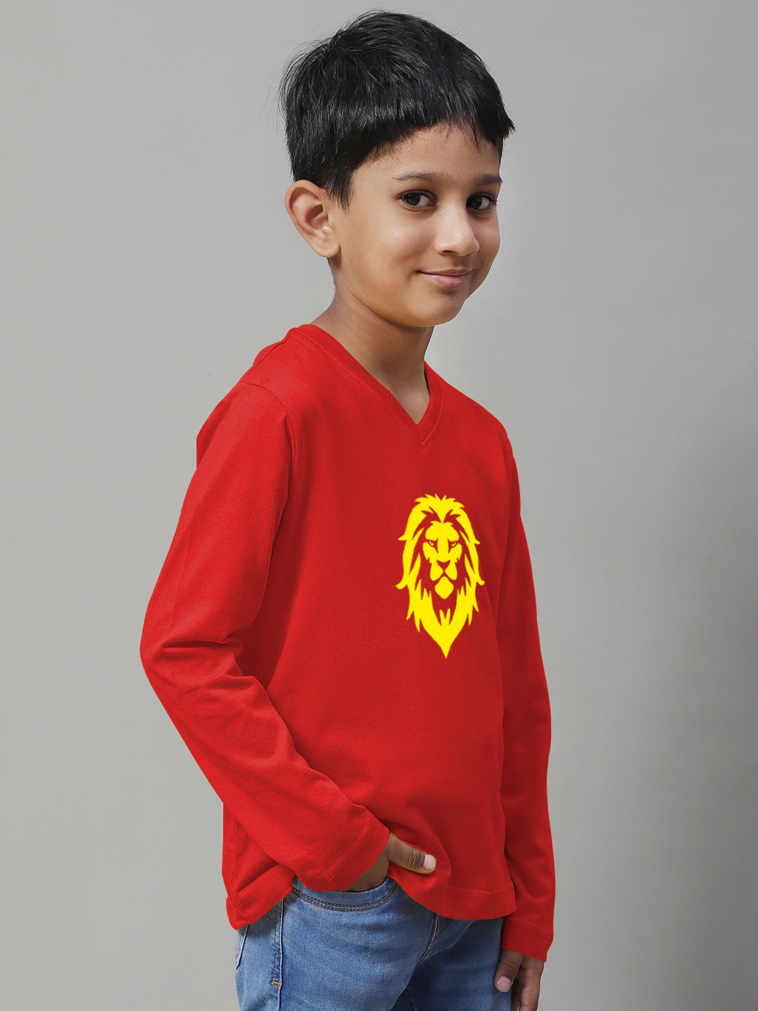 Boys Lion Full Sleeves Printed T-Shirt - Friskers