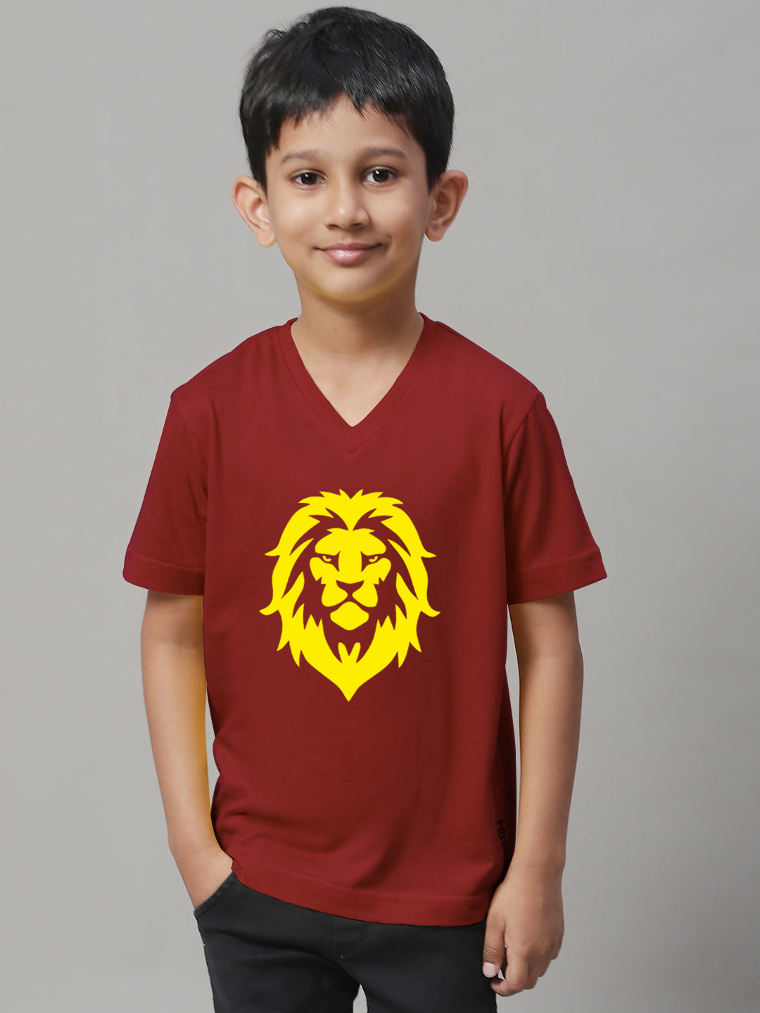Boys Lion Half Sleeves Printed T-Shirt
