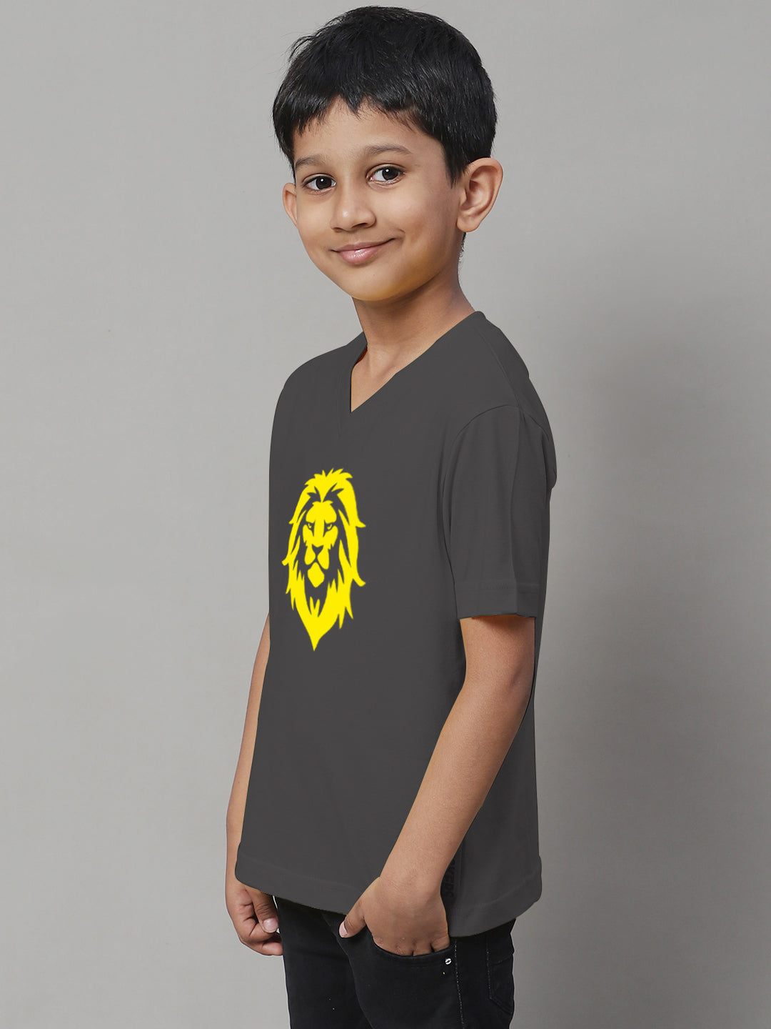 Boys Lion Half Sleeves Printed T-Shirt - Friskers